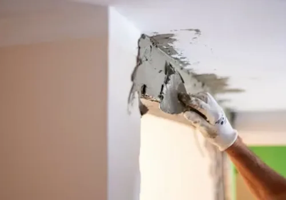 Flooring Finishing and Surface Enhancements